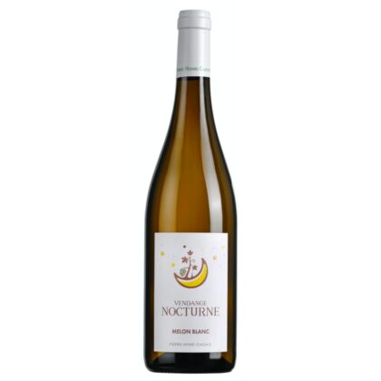 Domaine de la combe - Vendange nocturne